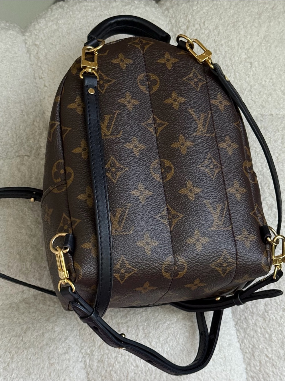 Louis Vuitton Palm Springs Mini Monogram Backpack - Picture 4 of 12